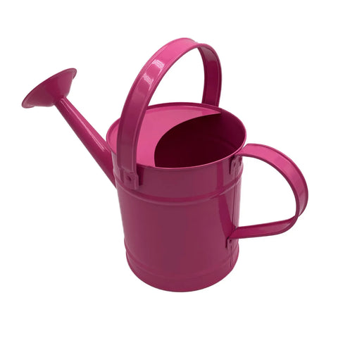 Pink Watering Can - RAD Grade 1 - Dazzle Dancewear Ltd