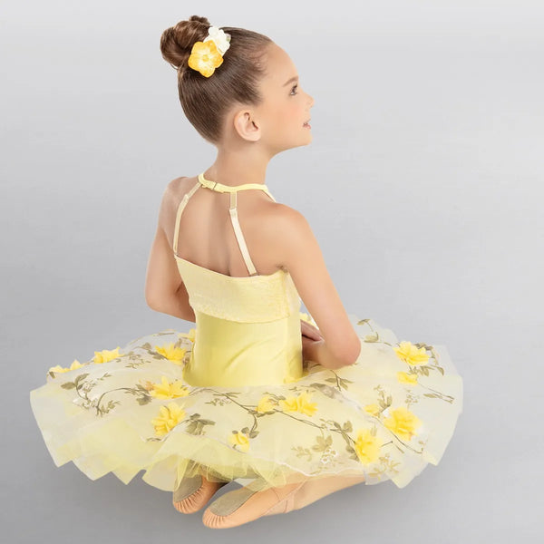 Beautiful Day Costume | Revolution Dance Costumes